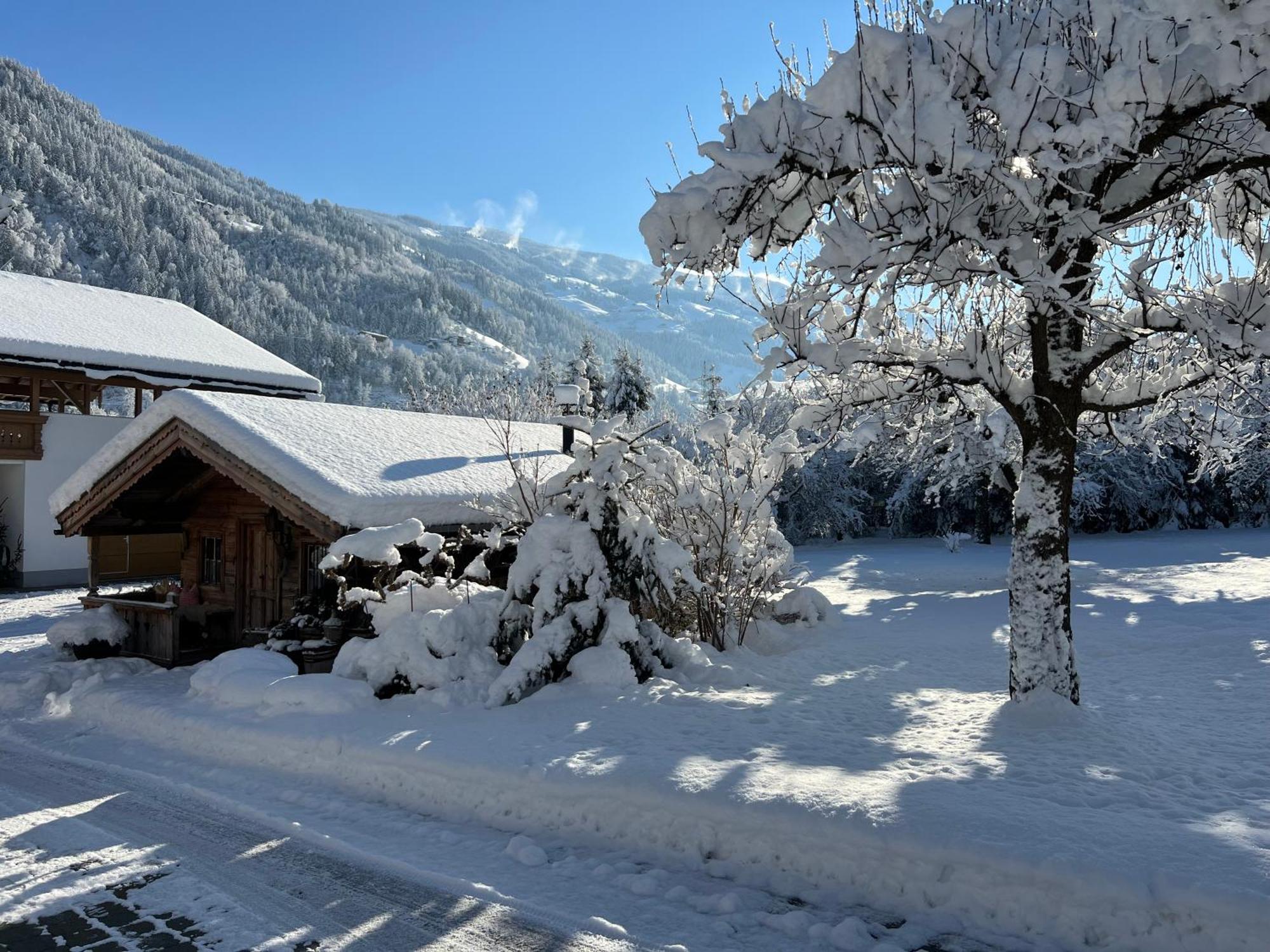 Appartement Martlerhof à Aschau Im Zillertal Extérieur photo